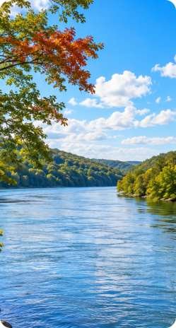 View of the Alabama River